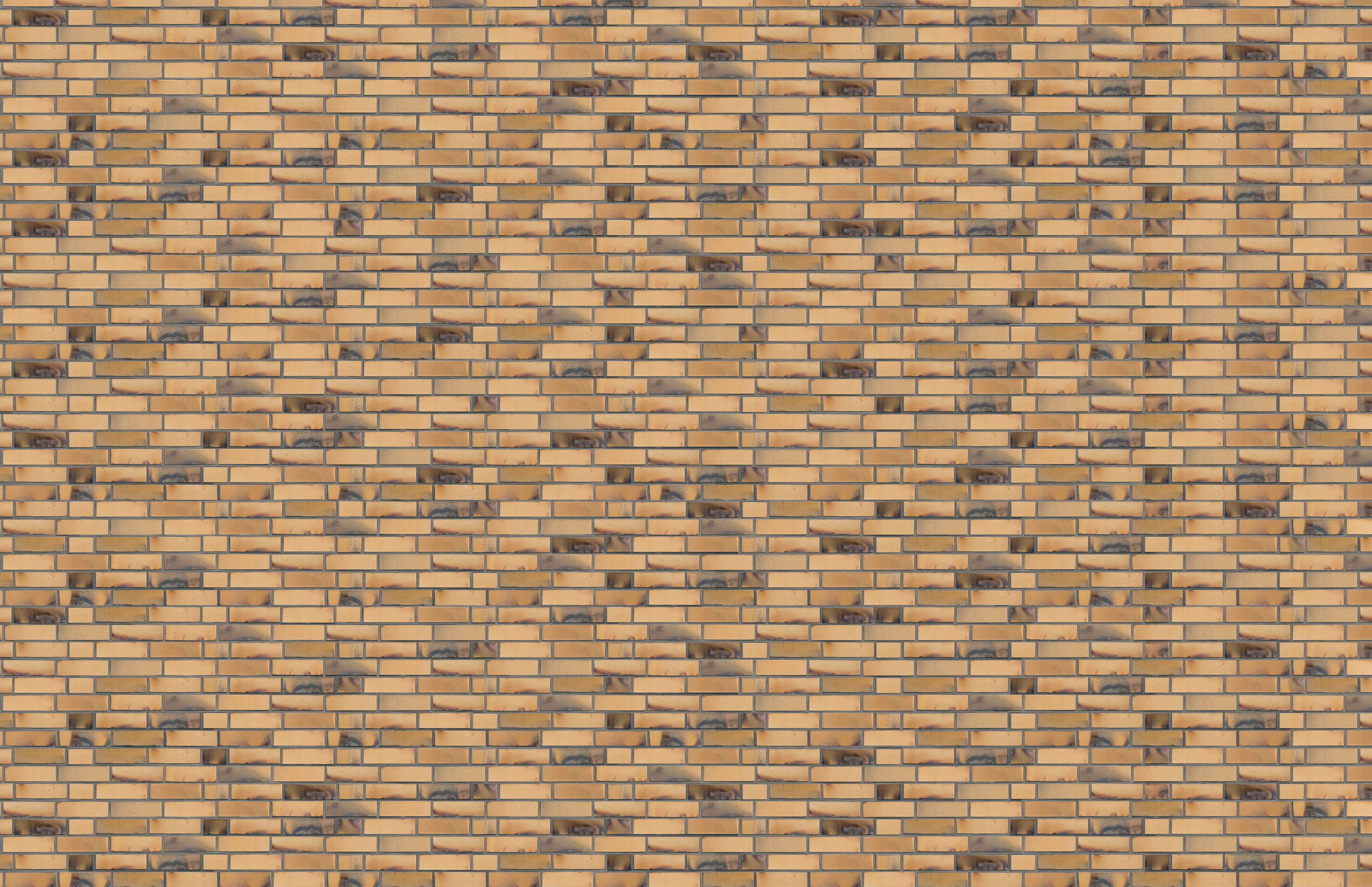 St. Petersburg gelb Kohlebrand ABC кирпич клинкерный, fuga-1