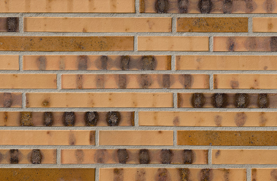 St. Petersburg gelb Kohlebrand, LF ABC кирпич клинкерный, fuga-1