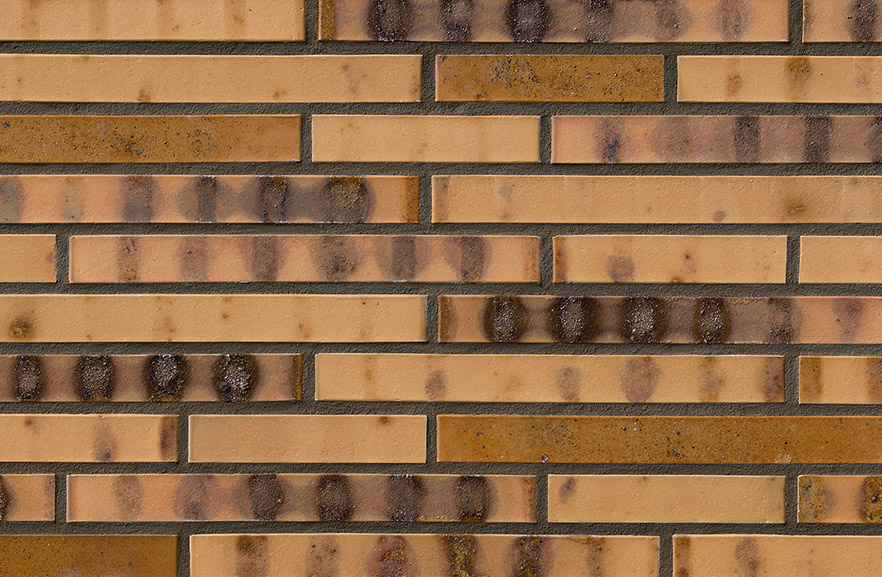 St. Petersburg gelb Kohlebrand, LF ABC кирпич клинкерный, fuga-3