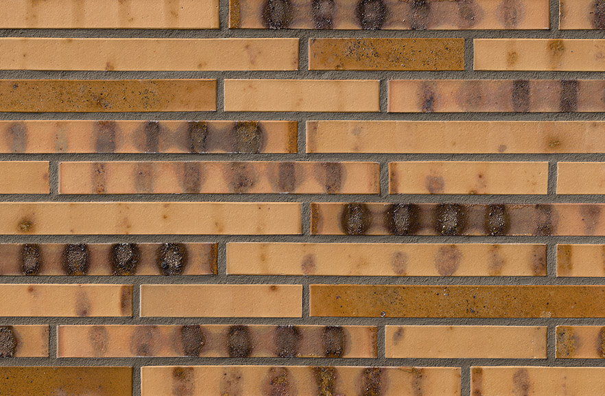 St. Petersburg gelb Kohlebrand, LF ABC кирпич клинкерный, fuga-2