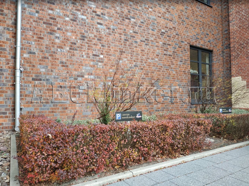101875 Wittenburg Kohlebrand mit Sinterschmolz glatt, NF 240x90x71 мм, ABC кирпич клинкерный облицовочный