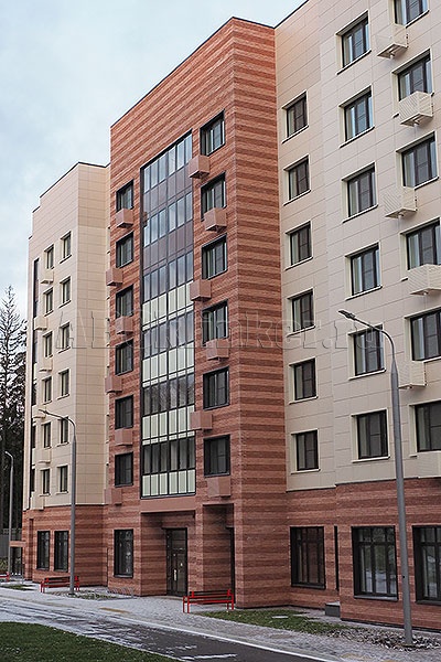 7506 ABC Gent плитка для вент фасада пазогребневая / без расшивки шва, ронсон 250x65x24 мм