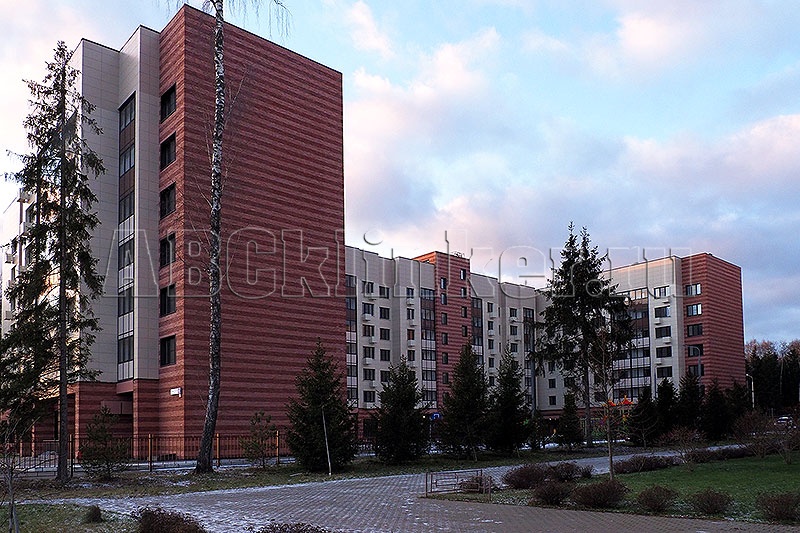 7504 ABC Gent плитка для вент фасада пазогребневая / без расшивки шва, ронсон 250x65x24 мм